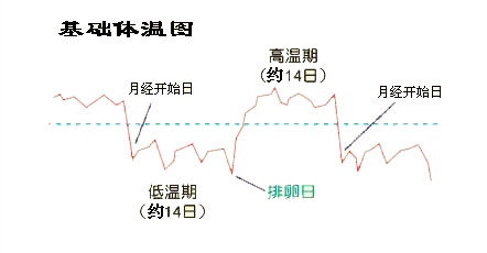怀孕后的基础体温图多少正常